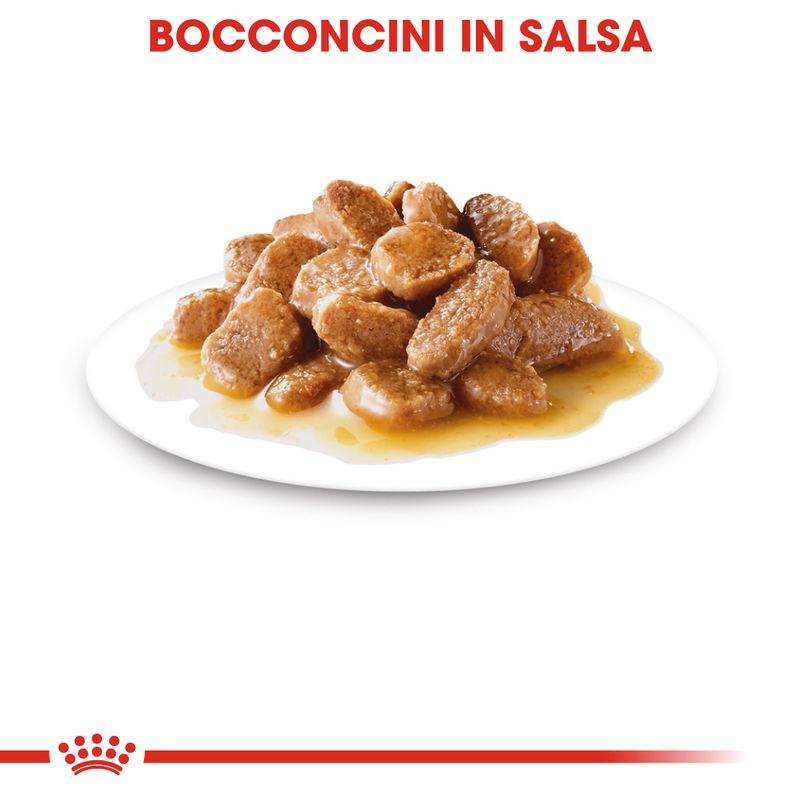 Royal Canin Mini Adult Umido in Salsa per Cani 48x85g Royal Canin Mini Adult Umido in Salsa per Cani 48x85g